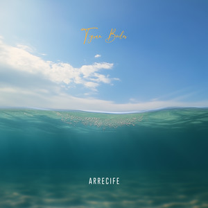 Arrecife by Tigran Boiler