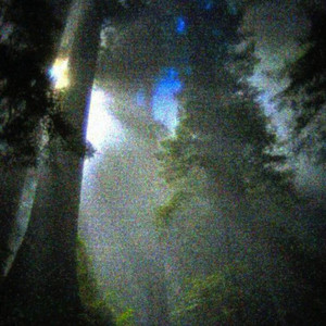 Green Jungle by last cigarette in the pack, uktekk, Lycro Sale