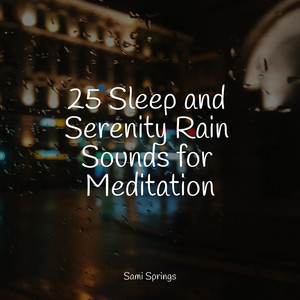 25 Sleep and Serenity Rain Sounds for Meditation album