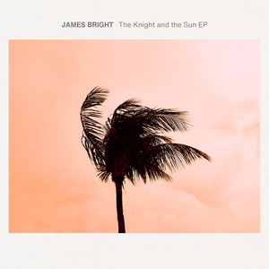 The Knight and the Sun - Leo Mas & Fabrice Remix by James Bright