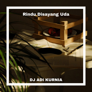 DJ ADI KURNIA - Rindu Di Sayang Uda