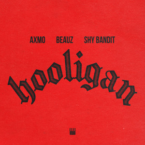 Hooligan - Extended Mix by AXMO, BEAUZ, shy bandit