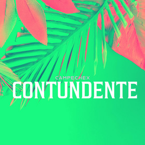 CONTUNDENTE by CAMPECHEX
