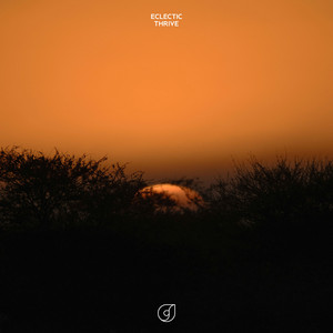 Thrive by Eclectic