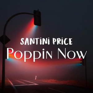 Santini Price - Never Again