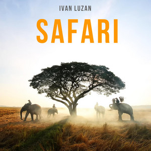 Обкладинка: Safari