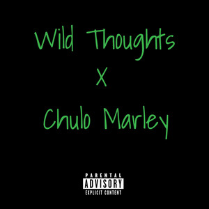 Wild Thoughts by Chulo Marley