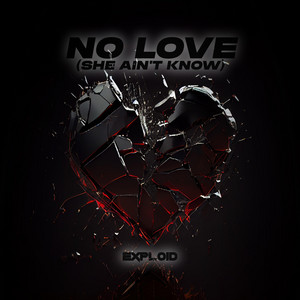 No Love (She Ain't Know) by Exploid