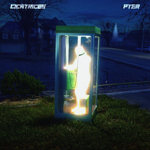 Cicatrices by PTER