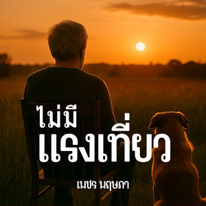ไม่มีแรงเที่ยว by เพชร พฤษภา