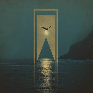 Roie Shpigler - Albatross