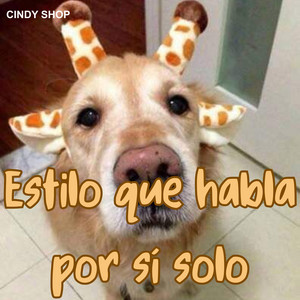 ESTILO QUE HABLA POR SÍ SOLO by LADY LUCI