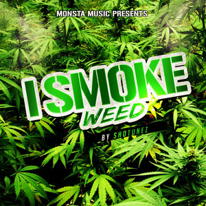 その他 SMOKE 12inch WEED