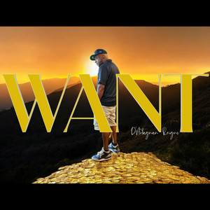 Portada de WANT