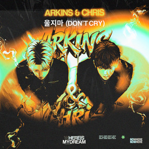 Don't Cry by Arkins, Chris