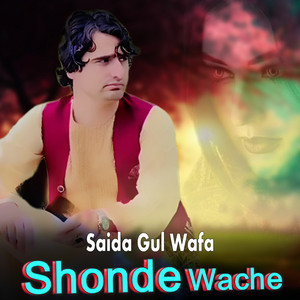 Saida Gul Wafa - Shonde Wache
