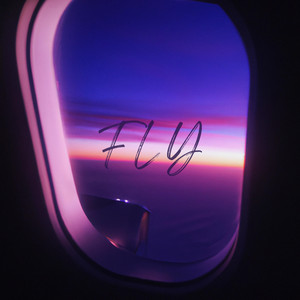 Fly