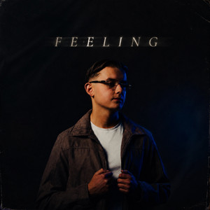 Feeling by PALUZ, Ddayzy