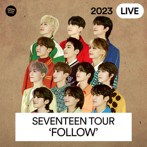 SEVENTEEN TOUR 'FOLLOW' live experience set audio liners - Album