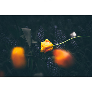 남겨진 것들에 대하여