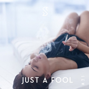 Just a Fool by Wayx