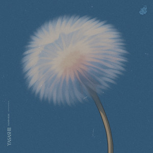yasashii by YAGMIN MUSIC