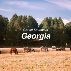 Gentle Sounds of Georgia