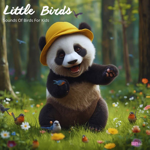Little Birds - Sounds Of Birds For Kids