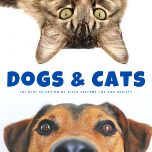Dogs & Cats: The Best Selection Of River Streams For Dog Anxiety album