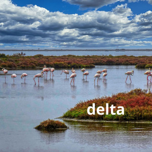 delta by Yazilome