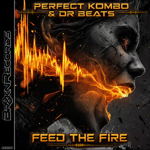 Feed The Fire by Perfect Kombo, Dr Beats