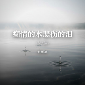 痴情的水悲伤的泪（DJ版） by 刘雨凌