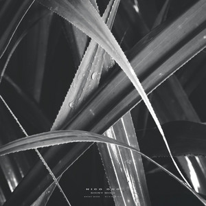 Shiny Mind by Nico Ono