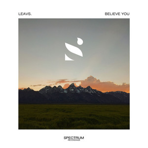 Believe You by Leavs.
