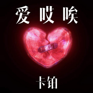卡铂 - 爱 哎 唉