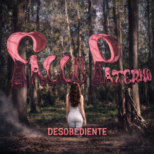 DESOBEDIENTE - Fallo Paterno