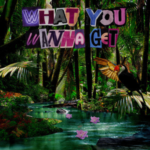 What You Wanna Get (Extended Mix) by ELYX, Chacel