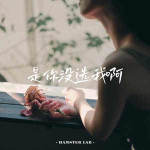 是你没选我啊 (是我没等你吗) - R&B氛围女声 by 晚睡的小仓鼠