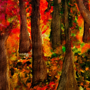 Where do I belong by Victoria Trice