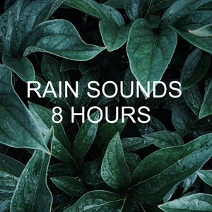 Rain Sounds 8 Hours album