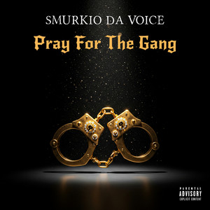 They Never Liked Us by Smurkio Da Voice