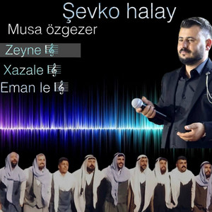musa özgezer - Şevko halay Zeyne