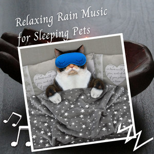 Relaxing Rain Music for Sleeping Pets album