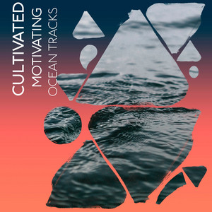 zZz Cultivated Motivating Ocean Tracks zZz album