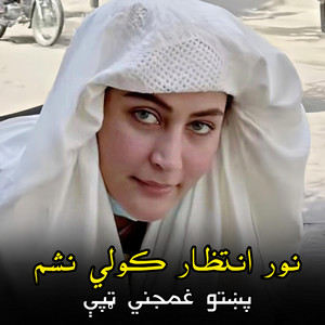 پښتو سندريزې - نور انتظار کولي نشم  پښتو غمجني ټپې  Nor entizar kawalay nashem