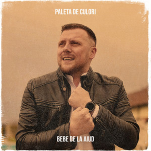 Bebe Florea - Paleta De Culori
