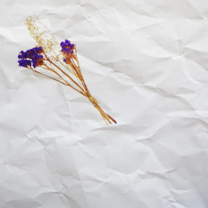 Tm cover