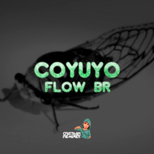 COYUYO (Flow BR)