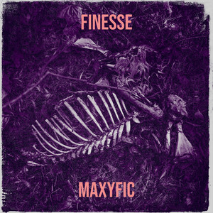 Maxyfic - Finesse