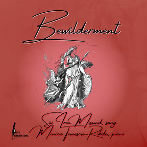 Portada de Bewilderment